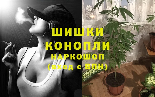 mdpv Богородск