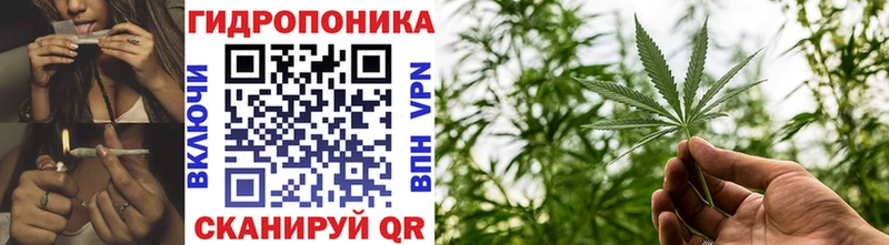 Купить закладки  Мирный  Бошки марихуана VHQ 